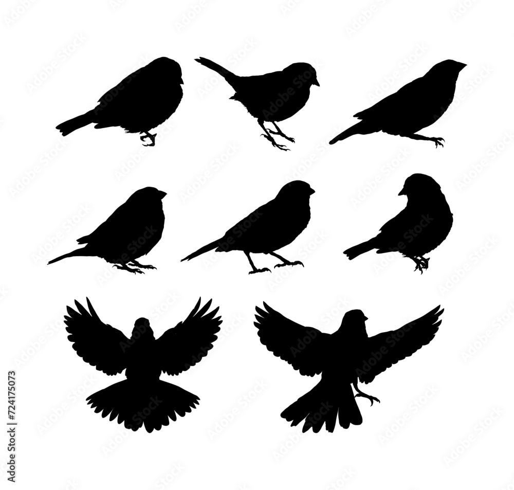 Obraz premium Set of sparrow silhouette, Set of bird silhouette - vector illustration
