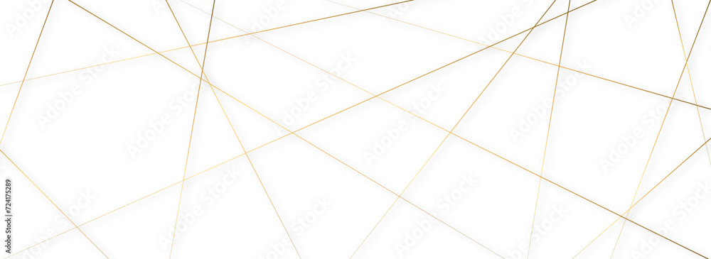 Random geometric line pattern on a transparent background. Random line low poly pattern. abstract seamless line vector. Random chaotic lines abstract geometric patterns of modern design. Random geometric line pattern on a transparent background. Random line low poly pattern. abstract seamless line vector. Random chaotic lines abstract geometric patterns of modern design.