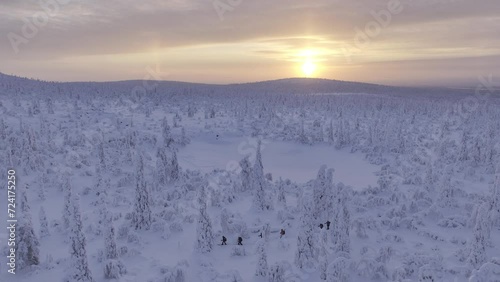 Sky view of hikers cross-country skiing in finnish Lapland