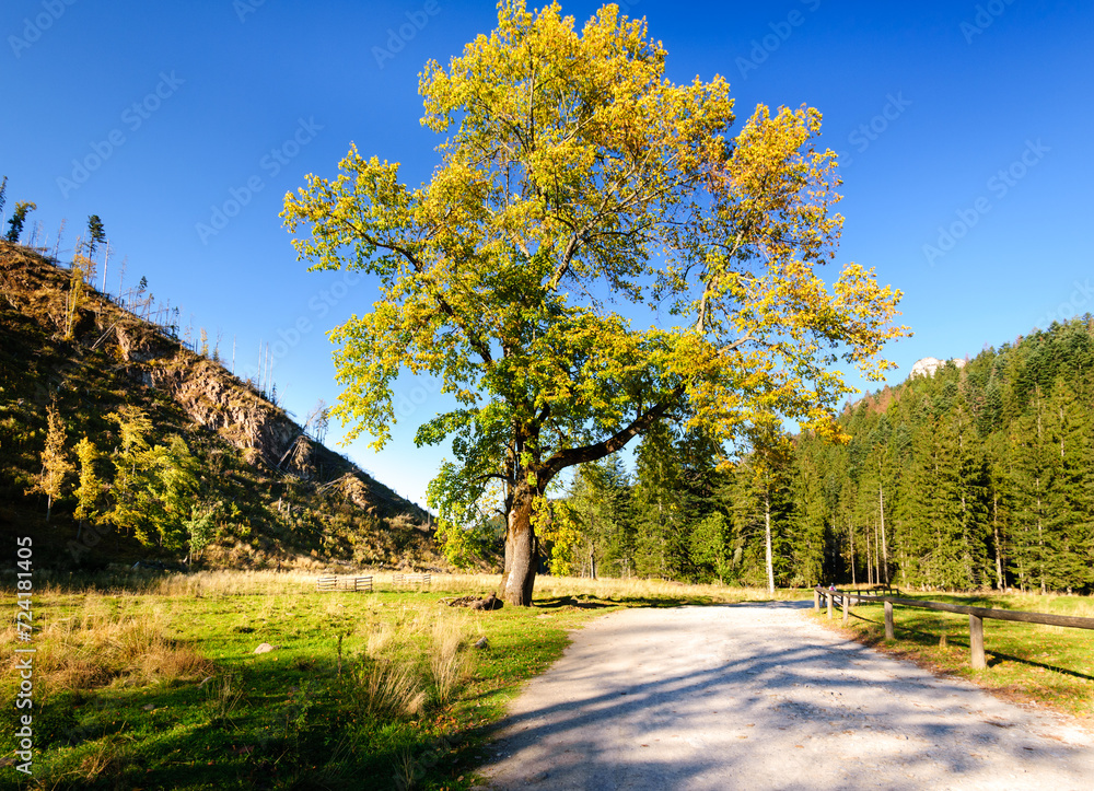 Naklejka premium Jesień w górach.