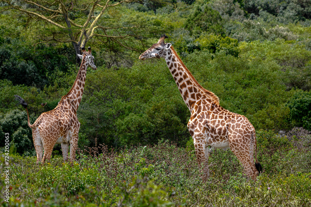 Arusha National Park Arusha National Park