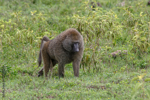 Arusha National Park © Wade Kehler