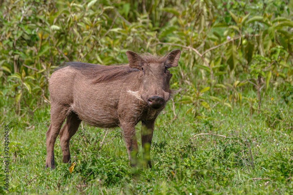 Arusha National Park Arusha National Park