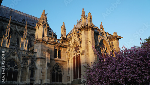 Catedral Notre-Dame de Paris in the spring