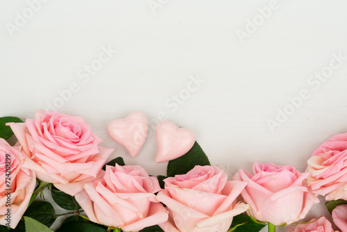 fresh rose flowers