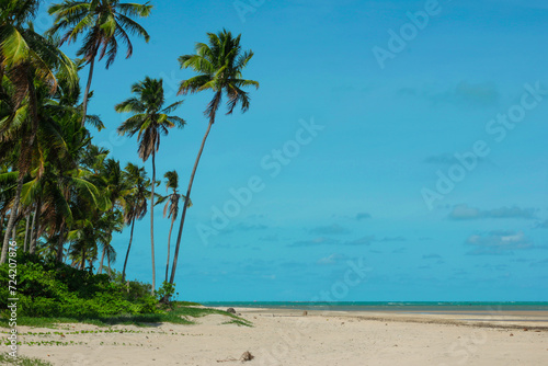 Fototapeta Naklejka Na Ścianę i Meble -  Japaratinga Beach/Maragogi/Alagoas/Brazil - 01/03/2024