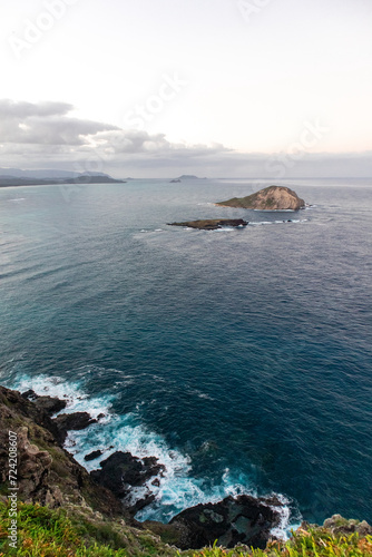 Scenic ocean vista from a lush hilltop in O'ahu, Hawaii