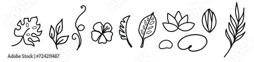 Simple hand drawn tropical floral vector design elements in doodle style. Set of leaves, flowers and branches. For pattern, logo or decoration.