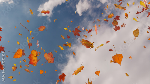 Autumn themed Wallpaper, with Leaves against Summer Sky. Holiday Banner with copy-space.