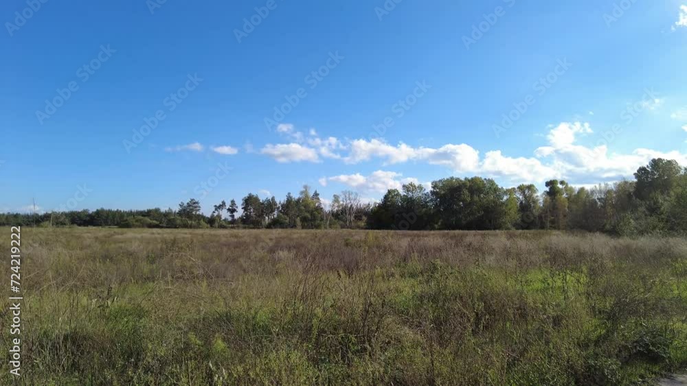 landscape forest field and blue sky. video 4k. footage in high definition. Blue sky with white clouds, shining sun, green fields, tree in center of field, forest on horizon. Nobody nature landscape. landscape forest field and blue sky. video 4k. footage in high definition. Blue sky with white clouds, shining sun, green fields, tree in center of field, forest on horizon. Nobody nature landscape.