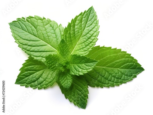 Fresh Mint Leaf Herbal Organic Isolated on White Background AI Generated