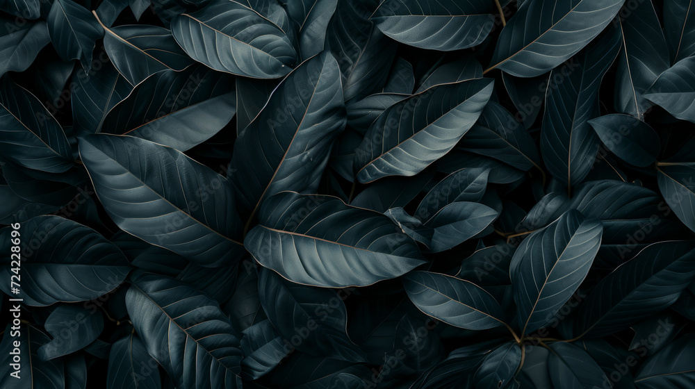 Textured abstract black leaves create a dark and tropical backdrop. Textured abstract black leaves create a dark and tropical backdrop.