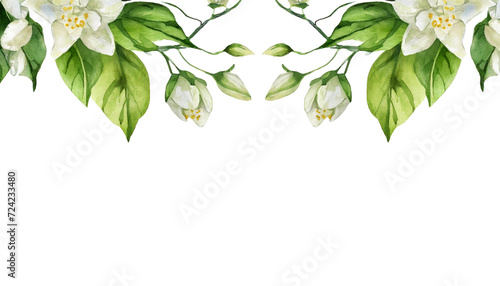 Greenery branches and jasmine flowers clipart. Green foliage arrangement for wedding, stationery, invitations, cards. Illustration isolated on transparent background