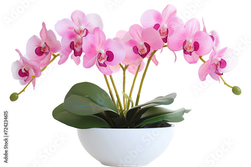 Wallpaper Mural A stunning arrangement of blooming pink orchids with lush green leaves, beautifully presented in a sleek white bowl against a white background. Torontodigital.ca