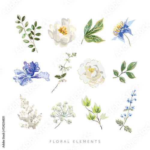 Peony, rose, light blue clematis flower, green leaves, white background. Set of the floral elements. Vector illustration. Romantic garden. Summer nature. Wedding design