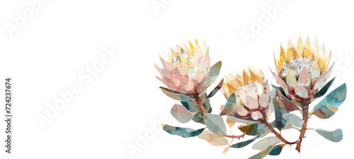  Floral template with space for text. Greeting card with protea flowers. Elegant watercolour illustration. AI generated image, post production. 