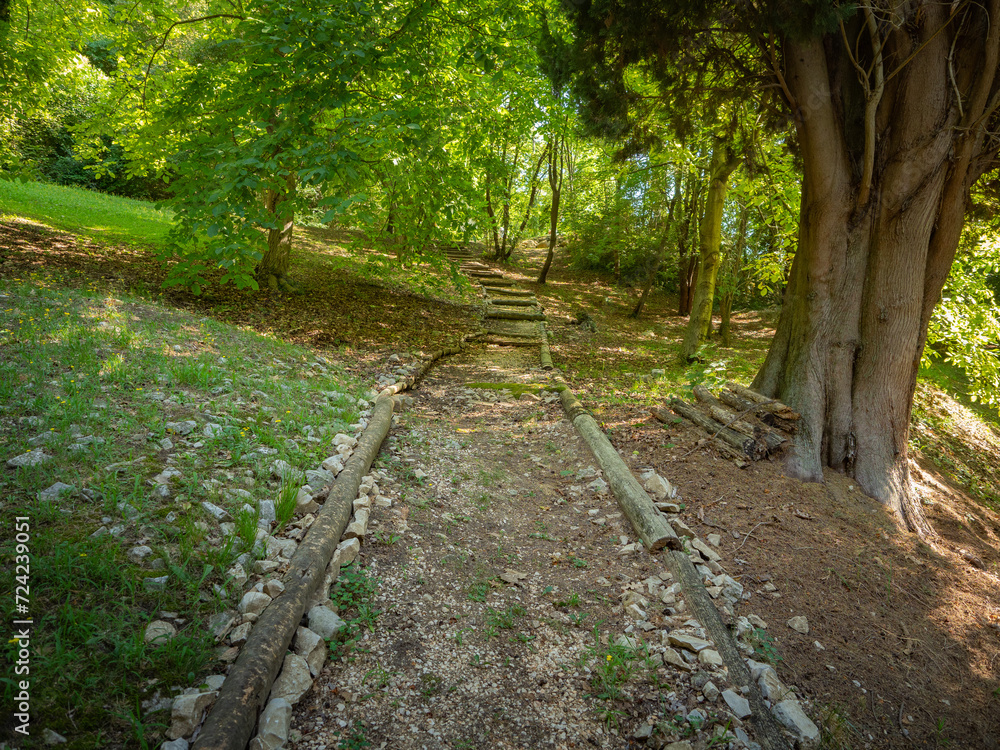 Obraz premium Sentiero nel bosco