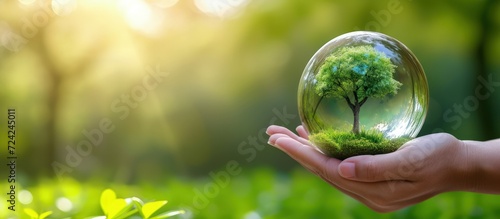 Human hand holding transparent glass globe with growing tree on nature green blur background. photo