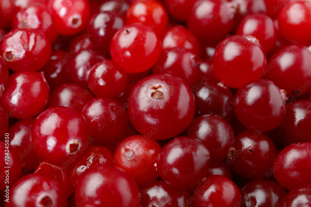 Fresh ripe cranberries as background, closeup view Fresh ripe cranberries as background, closeup view