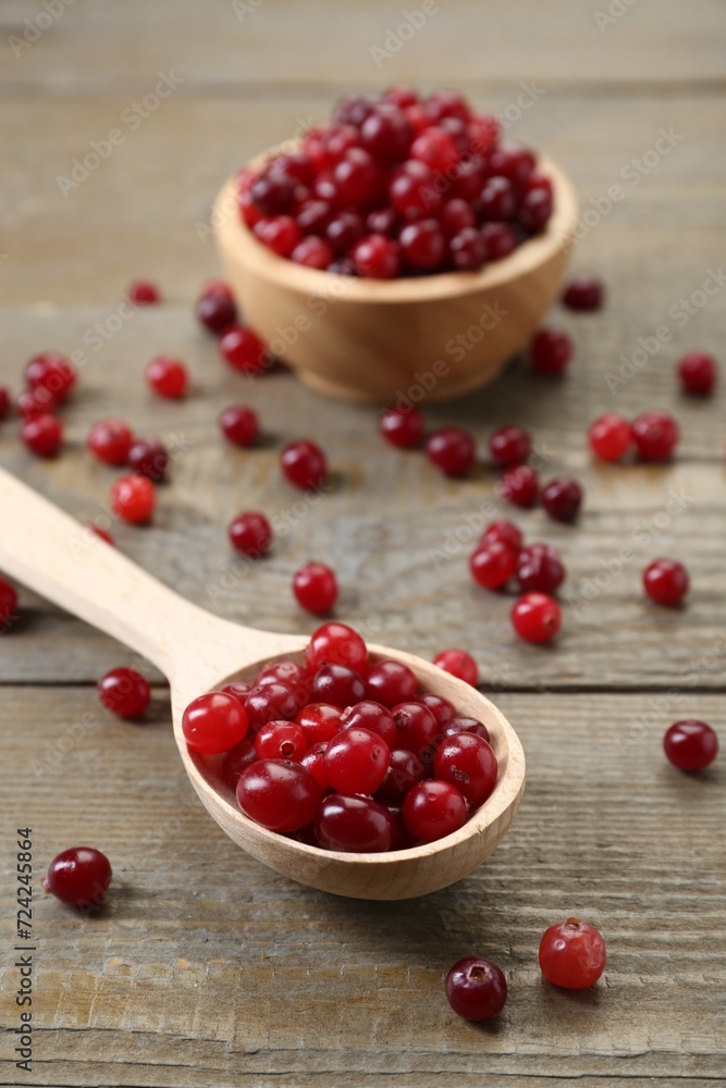 Spoon with fresh ripe cranberries on wooden table, closeup Spoon with fresh ripe cranberries on wooden table, closeup