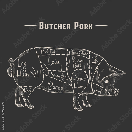 pig, pork cuts. template menu design for restaurant or cafe.