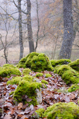 Fantasy Mossy Rocks Resembling A Creature In Oak Forest photo