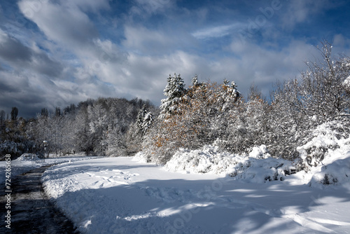 Wallpaper Mural Winter Landscape of South Park in city of Sofia, Bulgaria Torontodigital.ca
