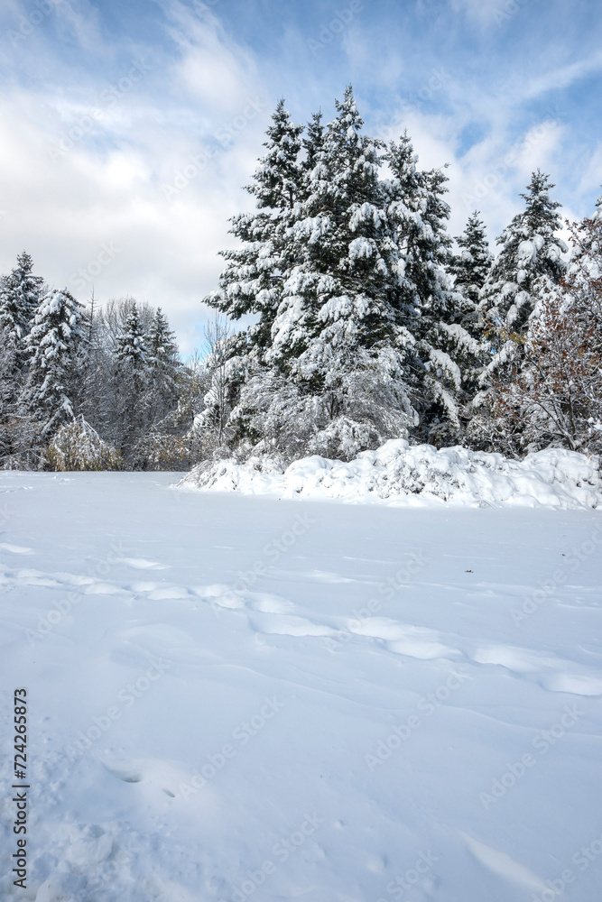 Winter Landscape of South Park in city of Sofia, Bulgaria