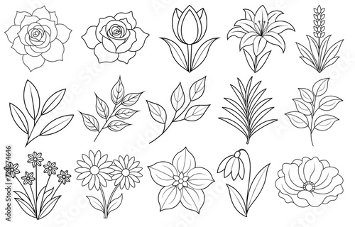 Collection of flower and leaf elements for design for invitation, greeting card, quote, blog, poster.