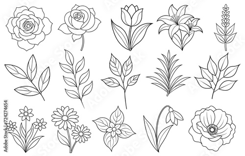 Collection of flower and leaf elements for design for invitation, greeting card, quote, blog, poster.