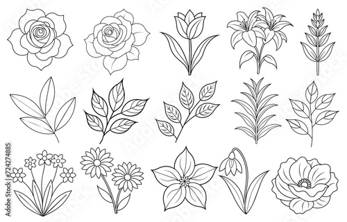 Collection of flower and leaf elements for design for invitation, greeting card, quote, blog, poster. photo