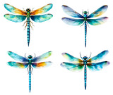 A set of detailed and vibrant images of dragonflies without background