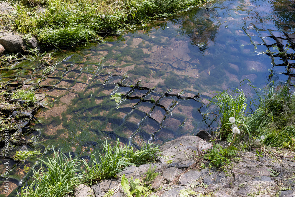 Naklejka premium water flowing in a small narrow stream in summer