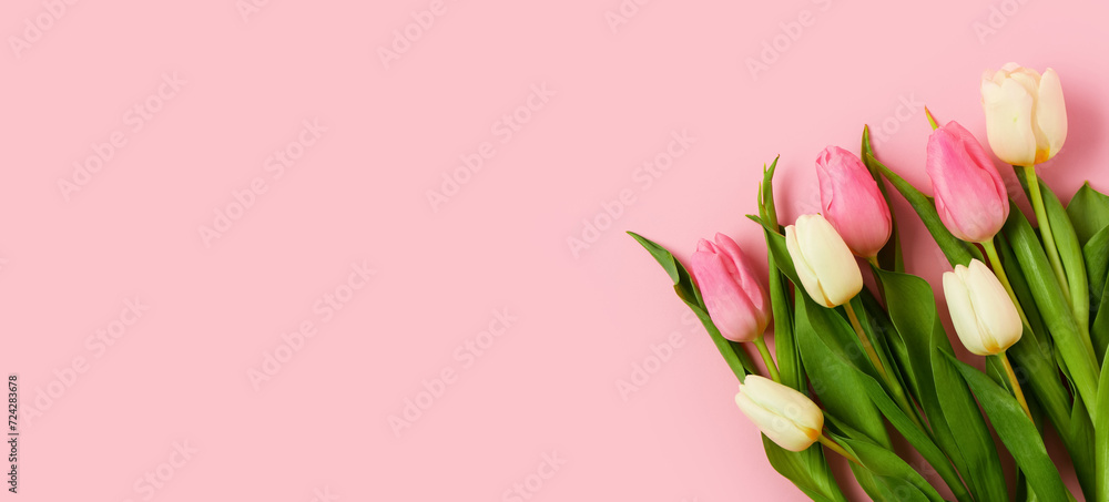 Beautiful tulips on pink background with space for text Beautiful tulips on pink background with space for text