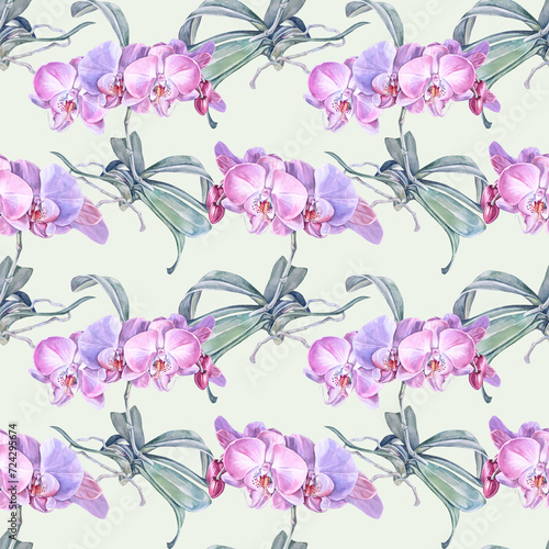 Seamless pattern watercolor pink purple orchid flower on green background. Creative nature realistic home plant for wedding, card, wallpaper, textile, wrapping, florist, celebration © NatashaKun
