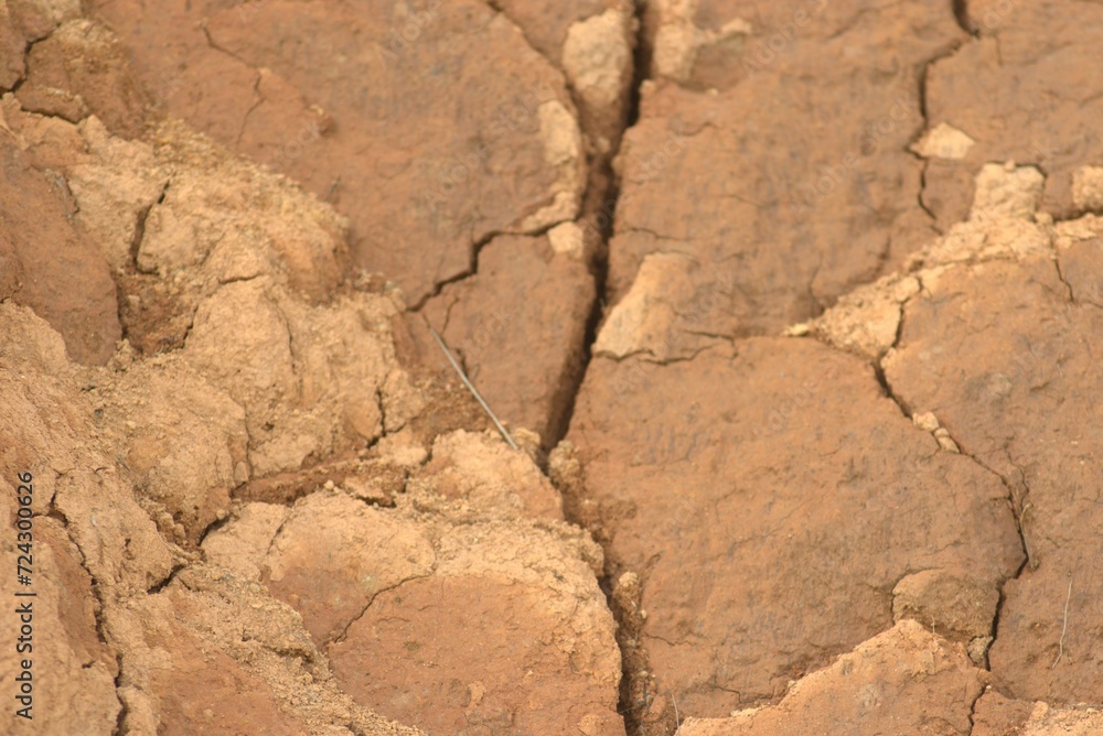 dry, texture, cracked, soil, drought, earth, crack, ground, nature, land, pattern, desert, brown, surface, abstract, mud, dirt, stone, arid, clay, wall, textured, cracks, rock, old dry, texture, cracked, soil, drought, earth, crack, ground, nature, land, pattern, desert, brown, surface, abstract, mud, dirt, stone, arid, clay, wall, textured, cracks, rock, old