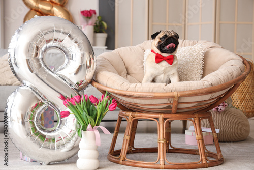 Pug dog in red bow tie sitt...