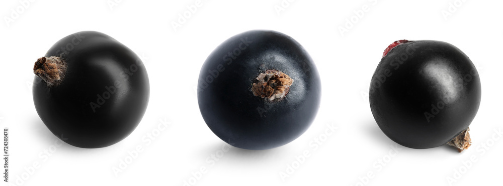 Fresh black currants on white background, collection Fresh black currants on white background, collection