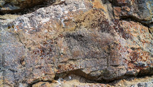 Photo textured stone of different colors; a beautiful mountain rock close-up