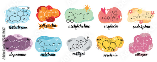 Structural chemical formulas of different human hormones on white background photo