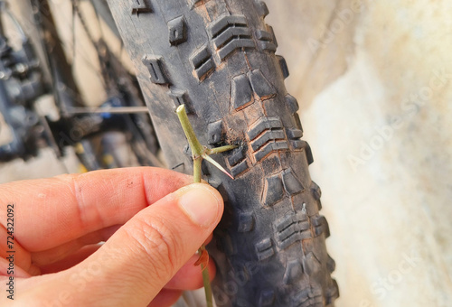 Mountain Bike Tire Puncture due to thorn bush