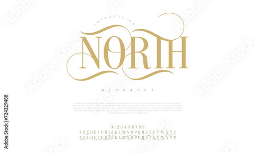 North premium luxury elegant alphabet letters and numbers. Elegant wedding typography classic serif font decorative vintage retro. Creative vector illustration