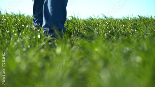 person walking on the fields