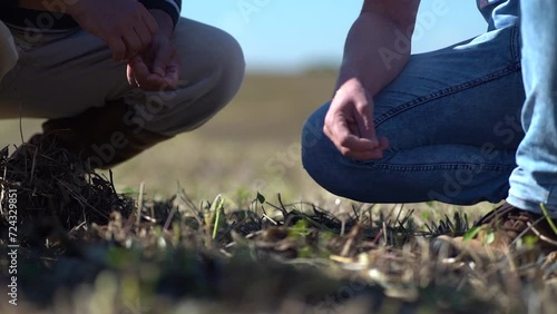 A man observing his plantation.