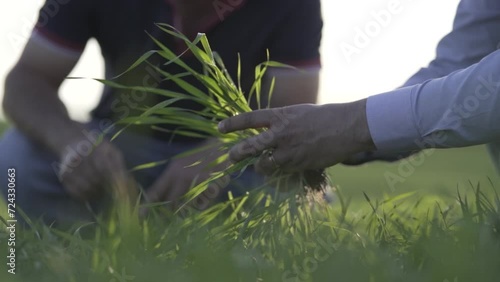 A man observing his plantation.
