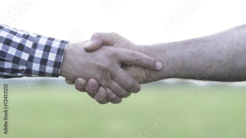 handshake of two people