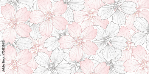 Cherry blossom drawing flower line  art botanical graphic 
wallpaper background 