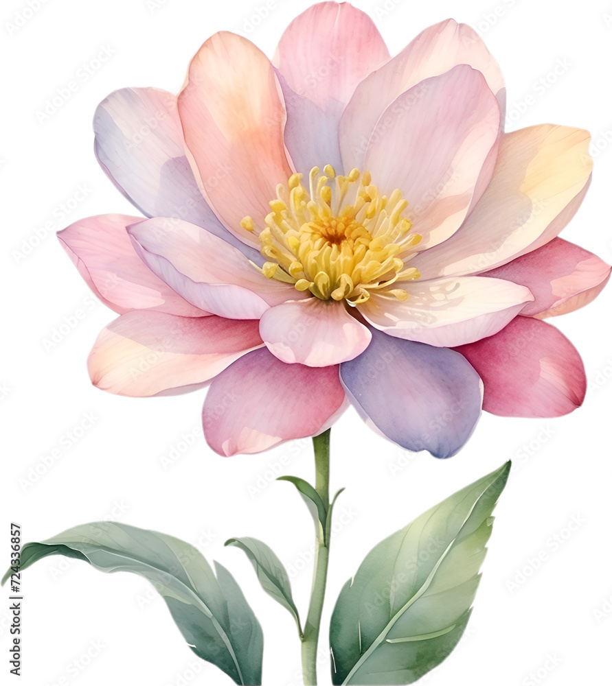 Naklejka premium Watercolor painting of a cute pastel flower.