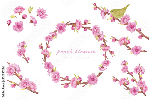 水彩手書きの華やかな桃の花の素材