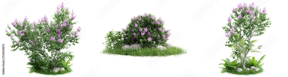 Obraz premium Collection green grass and plant on transparent background.3d rendering png